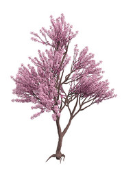 Similar image 20979527