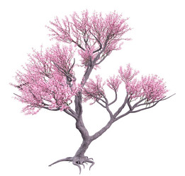 Similar image 20979528