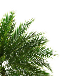 Similar image 20979550