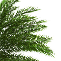 Similar image 20979551