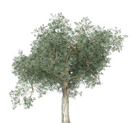 Similar image 20979511