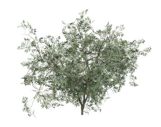 Similar image 20979515