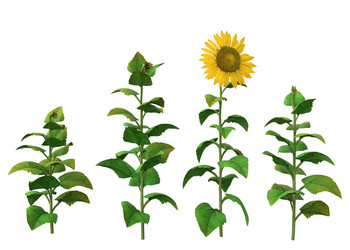 Similar image 20979516