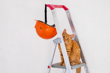 Similar image 20969521