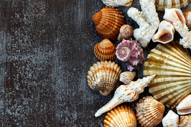 Similar image 20980296