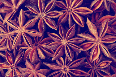 Similar image 20980299