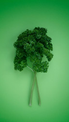 Similar image 20980306