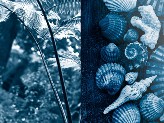 Similar image 20980310