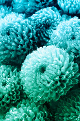 Similar image 20980311