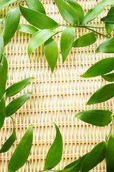 Similar image 20980313