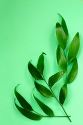 Similar image 20980314