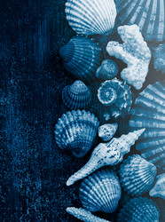 Similar image 20980316