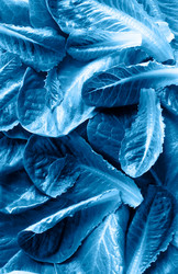 Similar image 20980321