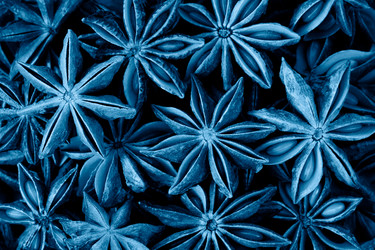 Similar image 20980322