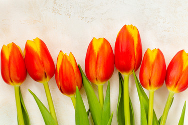 Similar image 20980329