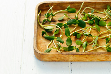 Similar image 20980332