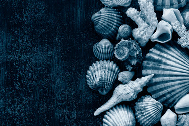 Similar image 20980346