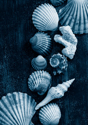 Similar image 20980347