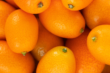 Similar image 20980350