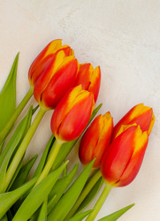 Similar image 20980352