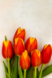 Similar image 20980354