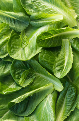 Similar image 20980358