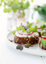 Similar image 20980368