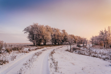 Similar image 20980684