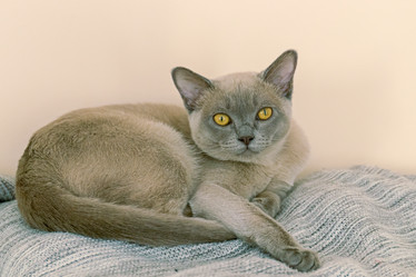 Similar image 20983532