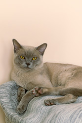 Similar image 20983535