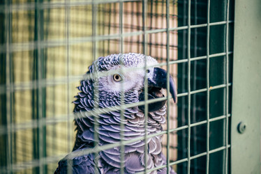 Similar image 20980686