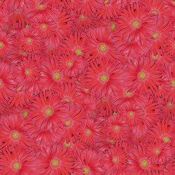 Similar image 20983394