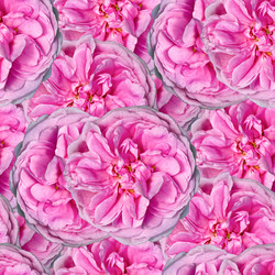 Similar image 20983395