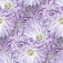 Similar image 20983396