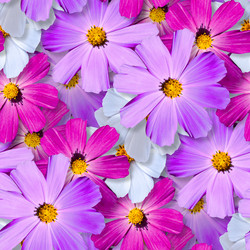 Similar image 20983397