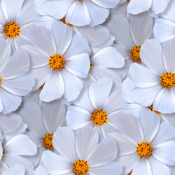 Similar image 20983399