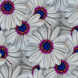 Similar image 20983400