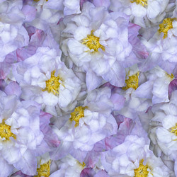 Similar image 20983402