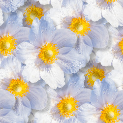 Similar image 20983404