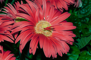 Similar image 20983410