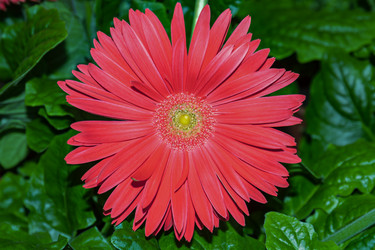 Similar image 20983411