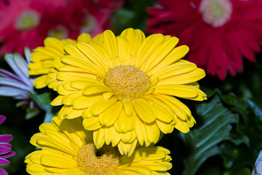 Similar image 20983412