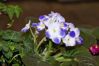 Similar image 20983414