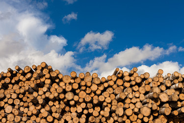 Similar image 20976662