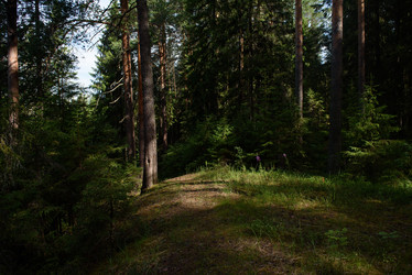 Similar image 20981959