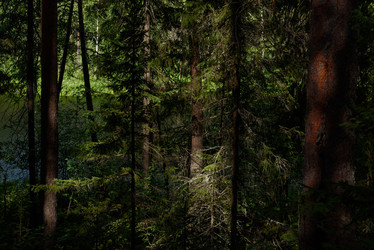 Similar image 20981960