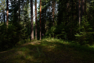 Similar image 20981961