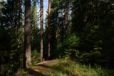 Similar image 20981964