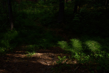 Similar image 20981965