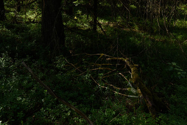 Similar image 20981966